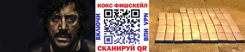 mega   Камешково  КОКАИН Fish Scale 