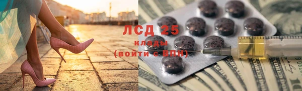 прущие грибы Алексеевка