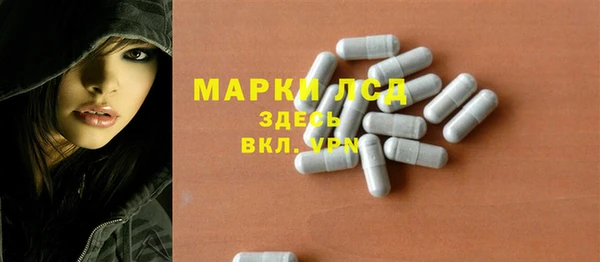 прущие грибы Алексеевка