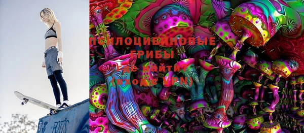 apvp Алзамай