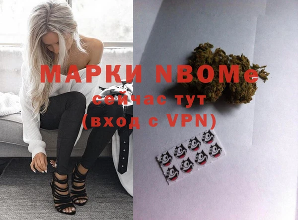 apvp Алзамай
