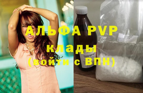 apvp Алзамай