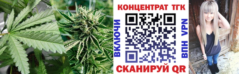где купить наркотик  Камешково  ОМГ ОМГ ссылки  ТГК THC oil 