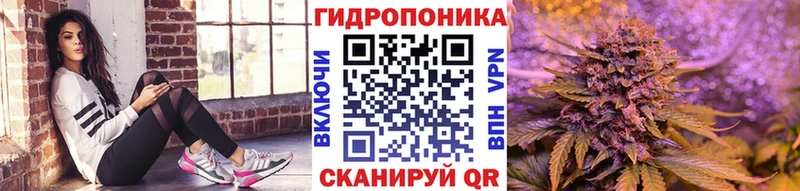Бошки Шишки сатива  где можно купить наркотик  Камешково 